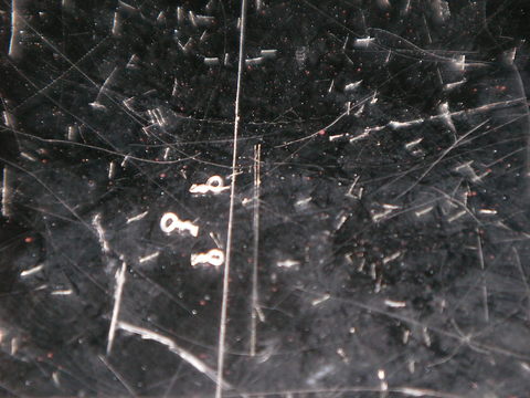 c0208691_19583862.jpg