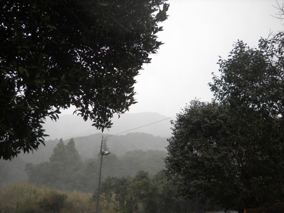 b0317003_10284697.jpg