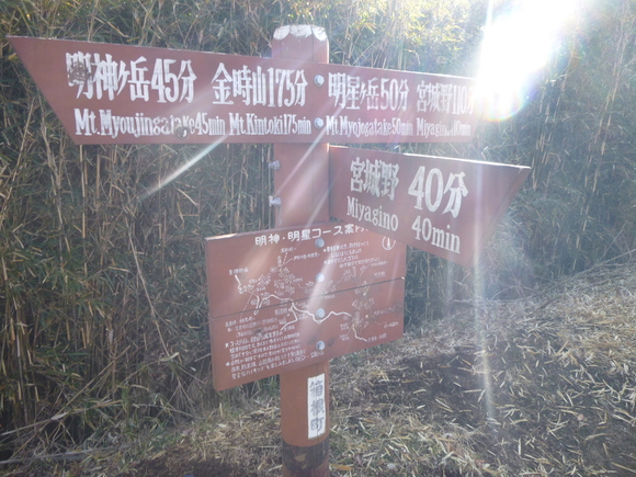d0170615_1123250.jpg