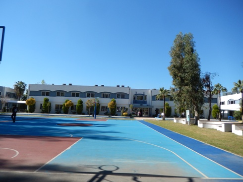 b0182718_2056850.jpg