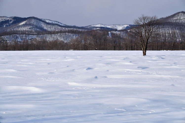 十勝の風景①_f0116528_20434116.jpg