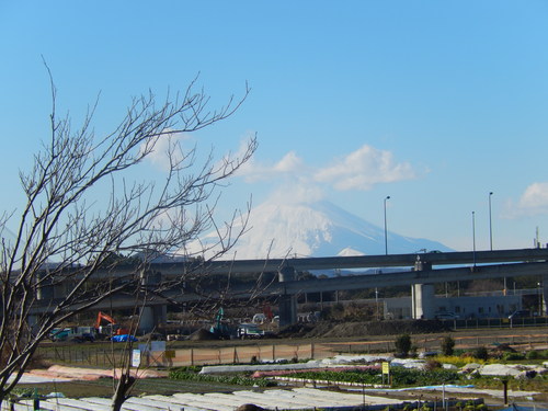 冠雪した富士山!_b0137932_14323416.jpg