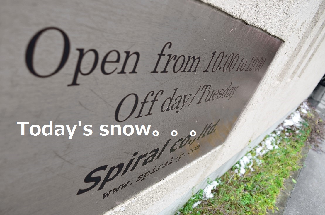 ”Today\'s snow。。。”_d0153941_1242087.jpg