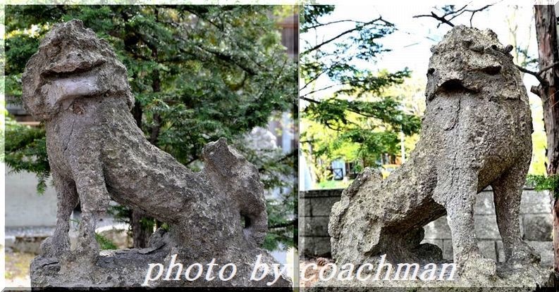 「富良野神社」 狛犬(富良野市)_a0315942_22173864.jpg