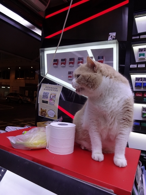 尖東忌廉哥 信和便利店店長 _b0248150_04125360.jpg