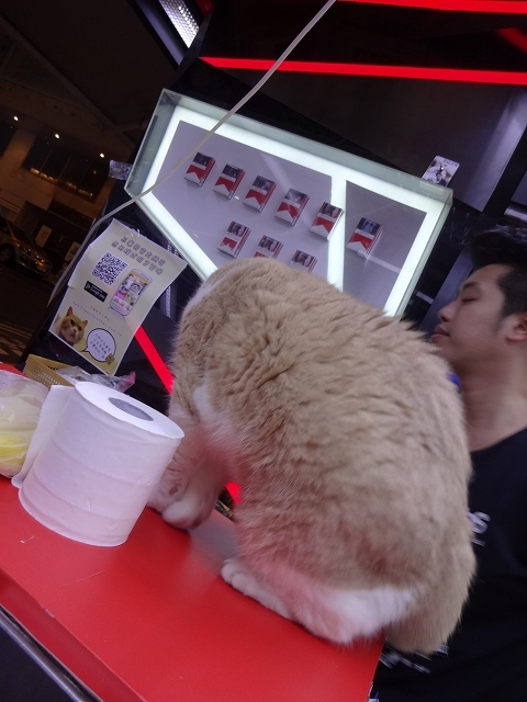 尖東忌廉哥 信和便利店店長 _b0248150_04133823.jpg