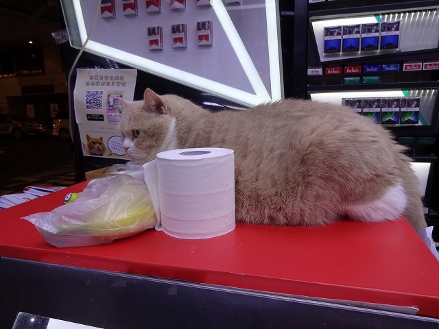 尖東忌廉哥 信和便利店店長 _b0248150_04222698.jpg