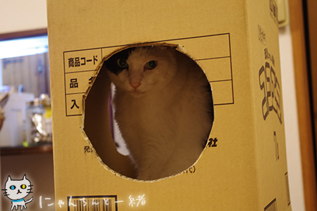 ポーズ?_e0031853_2236266.jpg