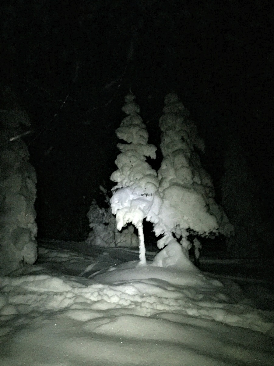e0105954_4202790.jpg