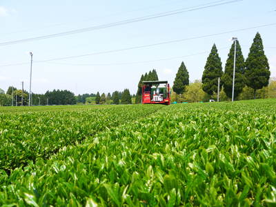 「御願立て」と「どんどや」　熊本県菊池市伊牟田の年行事（2020）_a0254656_1740526.jpg