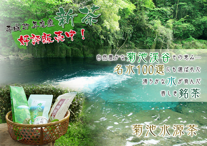 「御願立て」と「どんどや」 熊本県菊池市伊牟田の年行事(2019)_a0254656_1744339.jpg