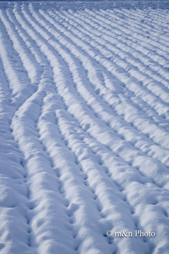 e0321360_23351332.jpg