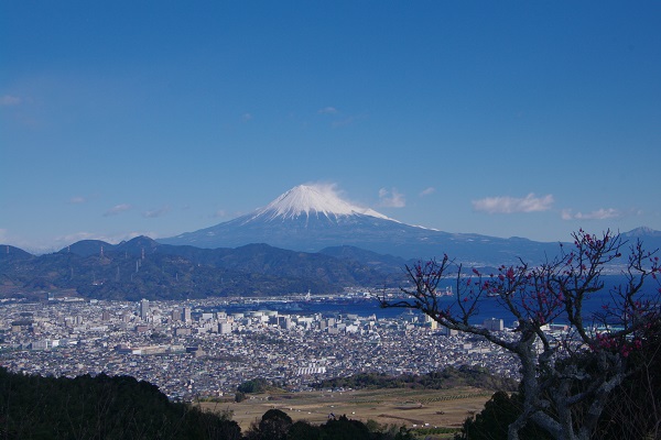 d0164761_1402775.jpg