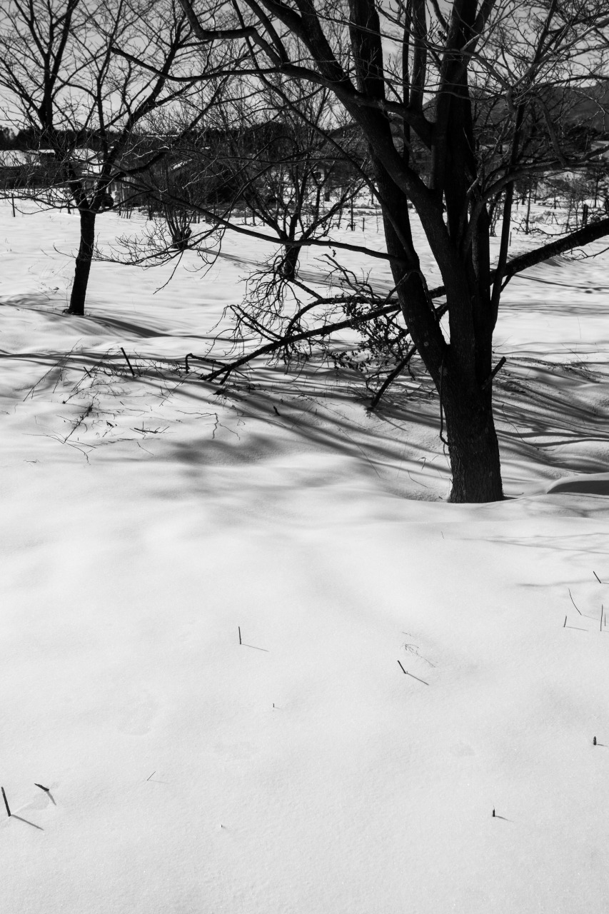 c0260264_15324981.jpg
