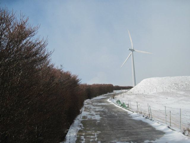 c0219866_1357242.jpg