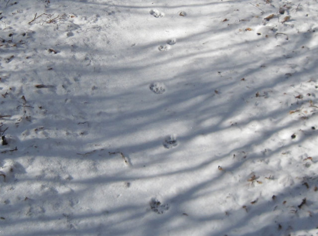 c0219866_1421667.jpg