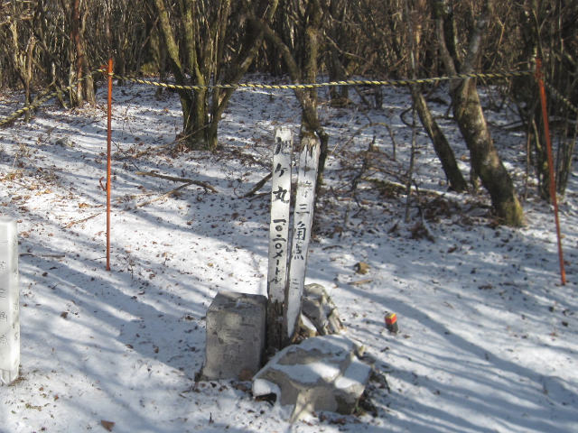 c0219866_1422893.jpg
