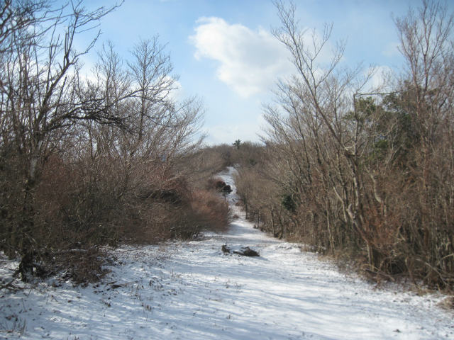 c0219866_145972.jpg