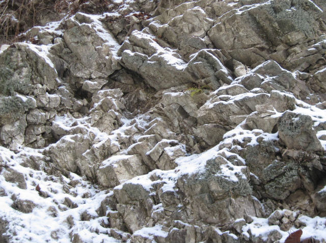 c0219866_1465879.jpg