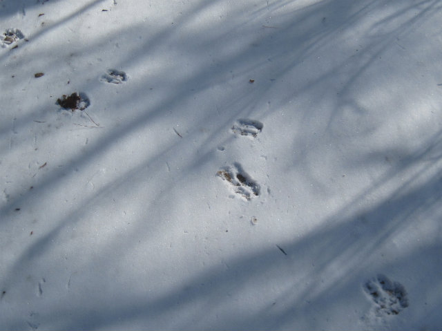c0219866_1472527.jpg