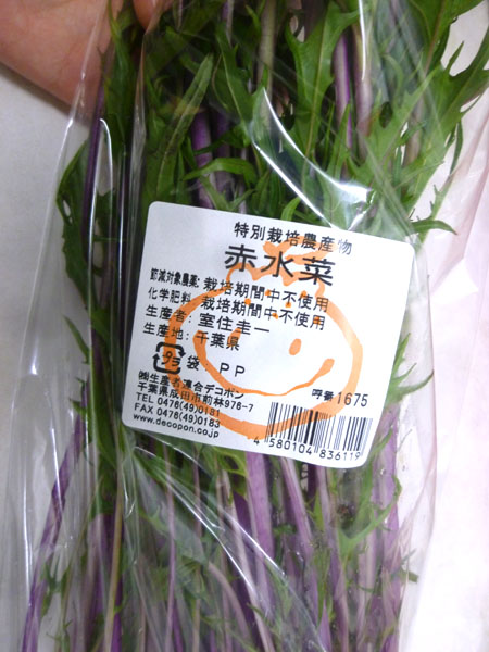 赤水菜のスムージー_c0152767_21545486.jpg