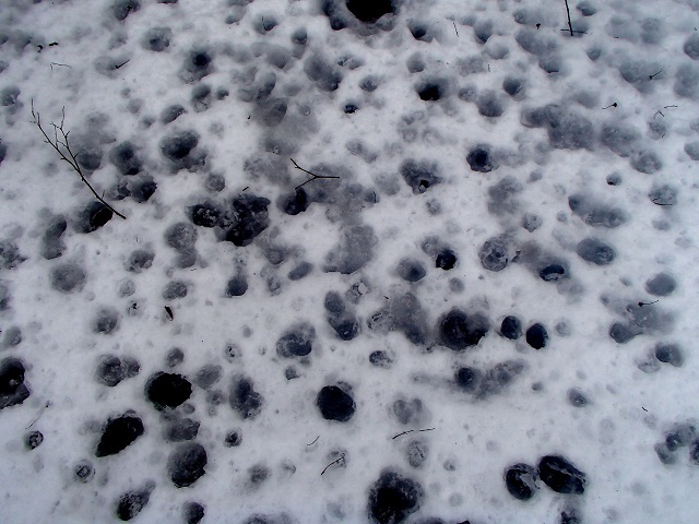 d0105967_21120455.jpg