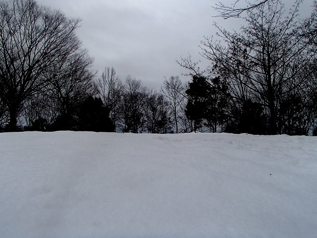 d0105967_21145913.jpg