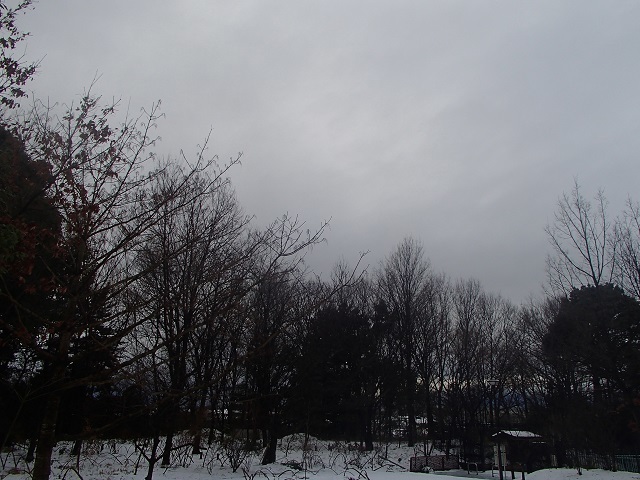 d0105967_21181839.jpg
