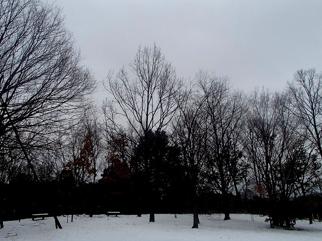 d0105967_21182844.jpg