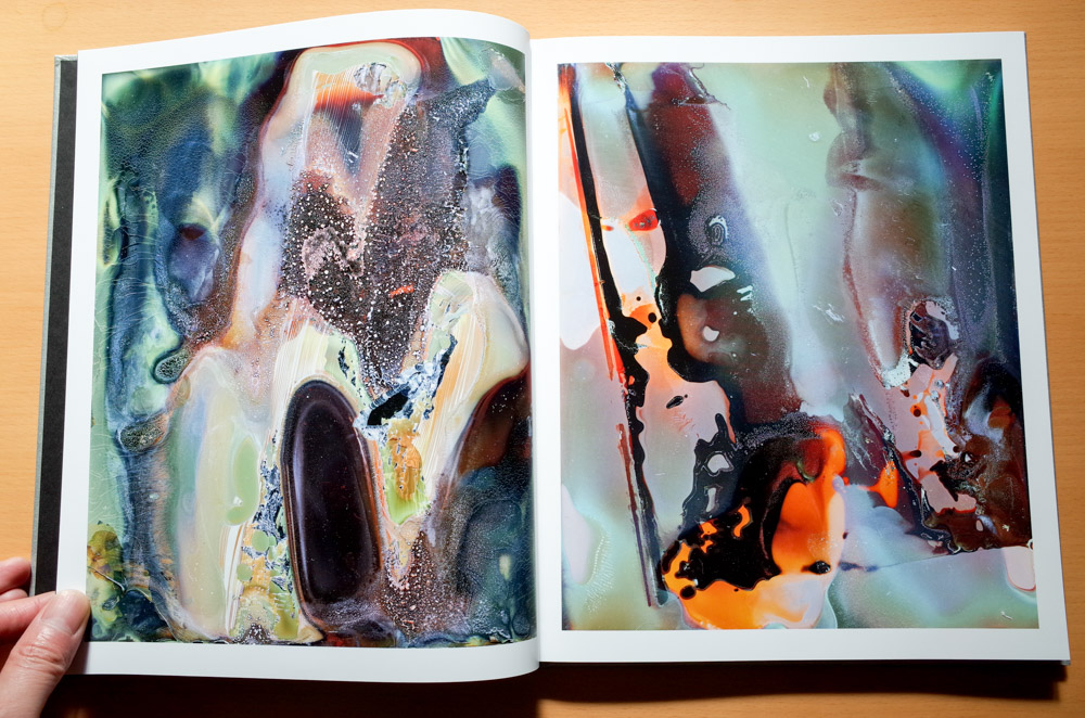 横田大輔 Daisuke Yokota 「Color Photographs」 : atsushisaito.blog