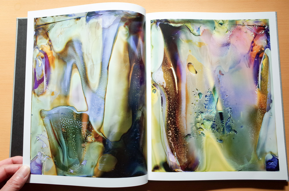 横田大輔 Daisuke Yokota 「Color Photographs」 : roshinbooks.blog
