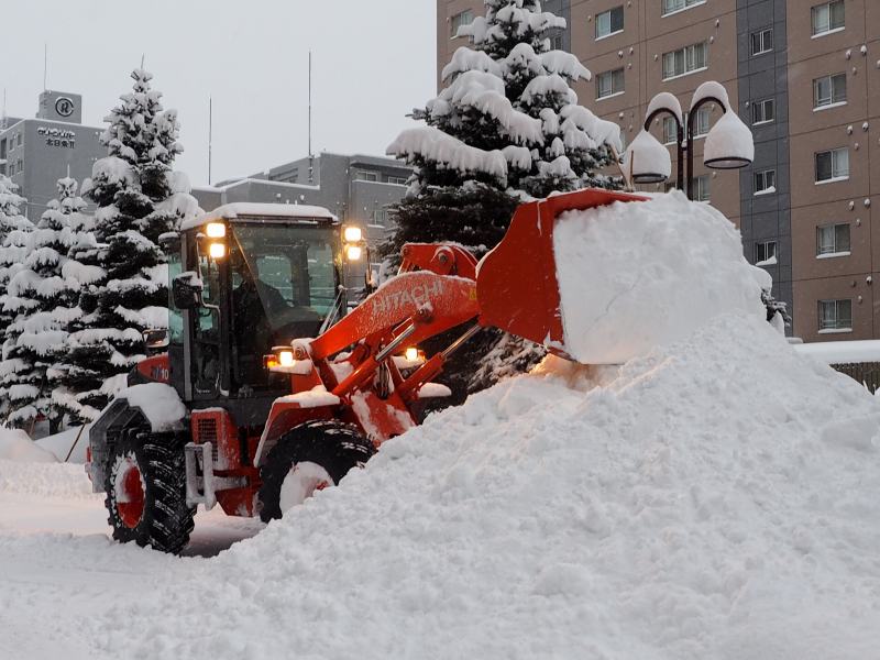 今年最大の積雪　　０１１９_c0183777_11205481.jpg