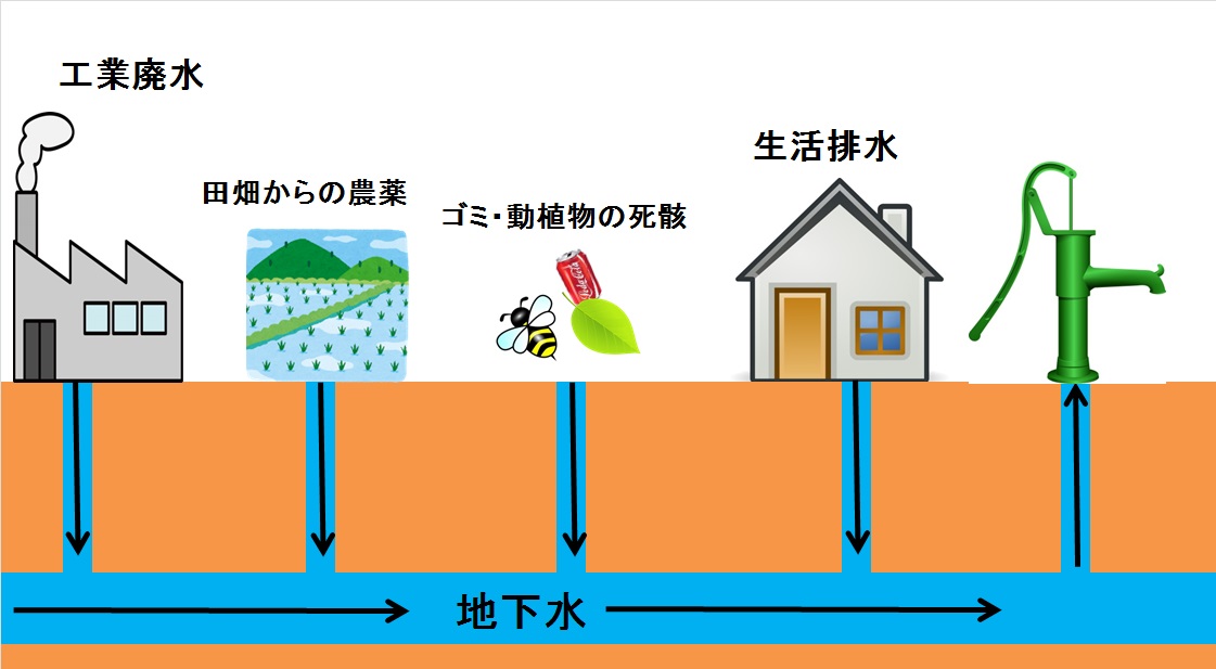 井戸水・湧水の危険性_f0170778_1813462.jpg