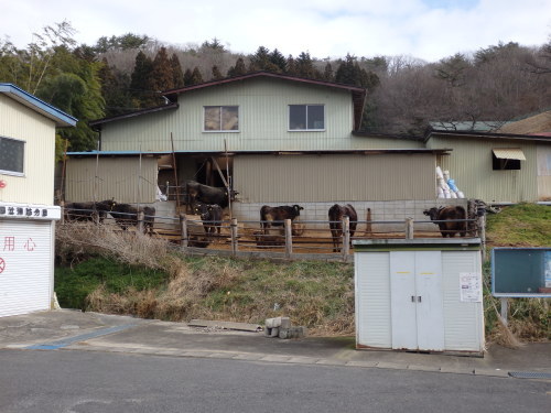 2016冬の阿武隈オフ_b0334084_12451185.jpg