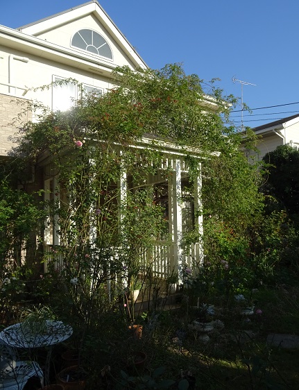 d0099791_1095150.jpg