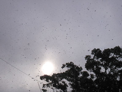 吹雪?!_f0043592_926688.jpg