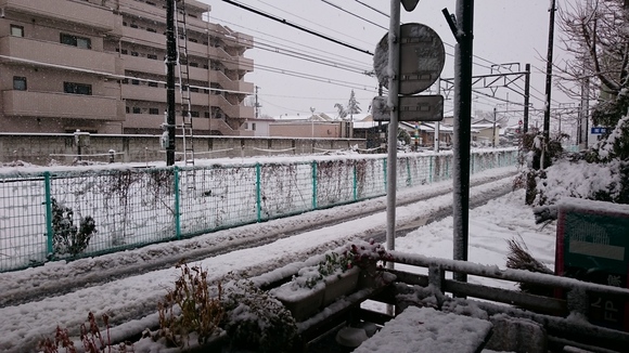 c0066693_16574640.jpg