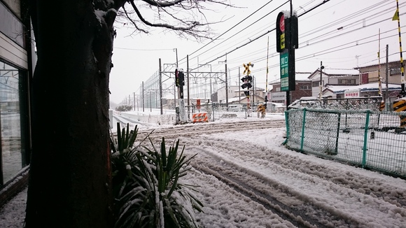 今年も大雪_c0066693_16582514.jpg