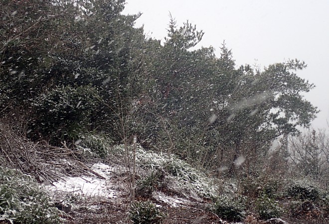 a0339396_2311556.jpg