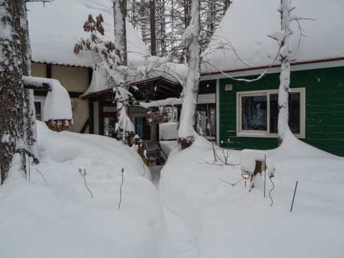 久しぶりの大雪に見舞われ・・50センチの積雪!_f0276498_22421742.jpg