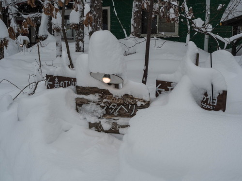 久しぶりの大雪に見舞われ・・50センチの積雪!_f0276498_22423838.jpg