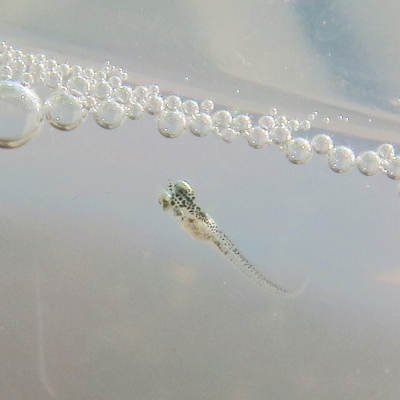 d0335701_385175.jpg