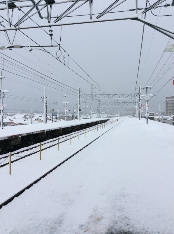 b0220002_10570504.jpeg