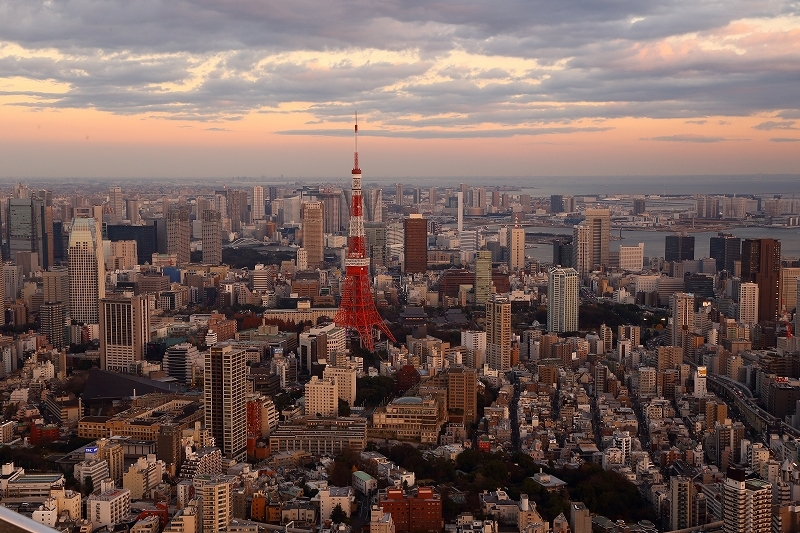 海抜２７０ｍから眺める東京の冬景色（六本木ヒルズの屋上展望台、スカイデッキから）_b0291402_20465725.jpg