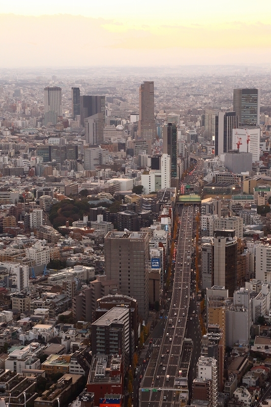 海抜２７０ｍから眺める東京の冬景色（六本木ヒルズの屋上展望台、スカイデッキから）_b0291402_20470604.jpg