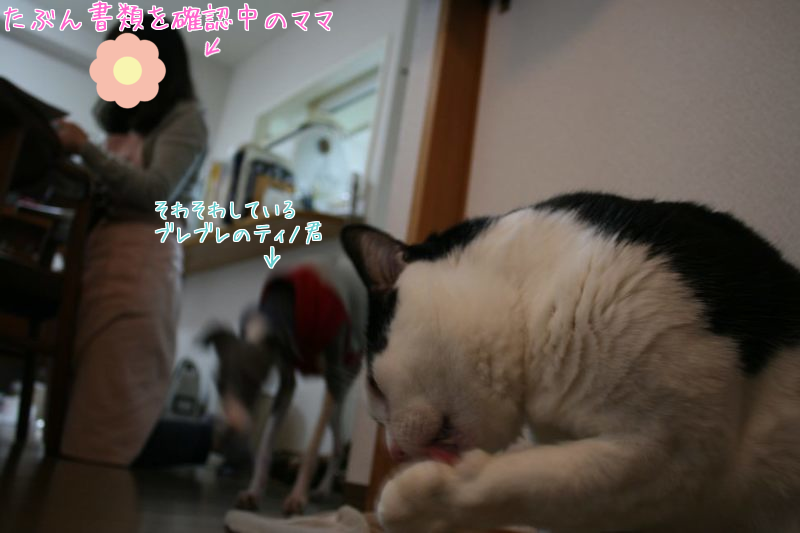 a0177105_15054672.png