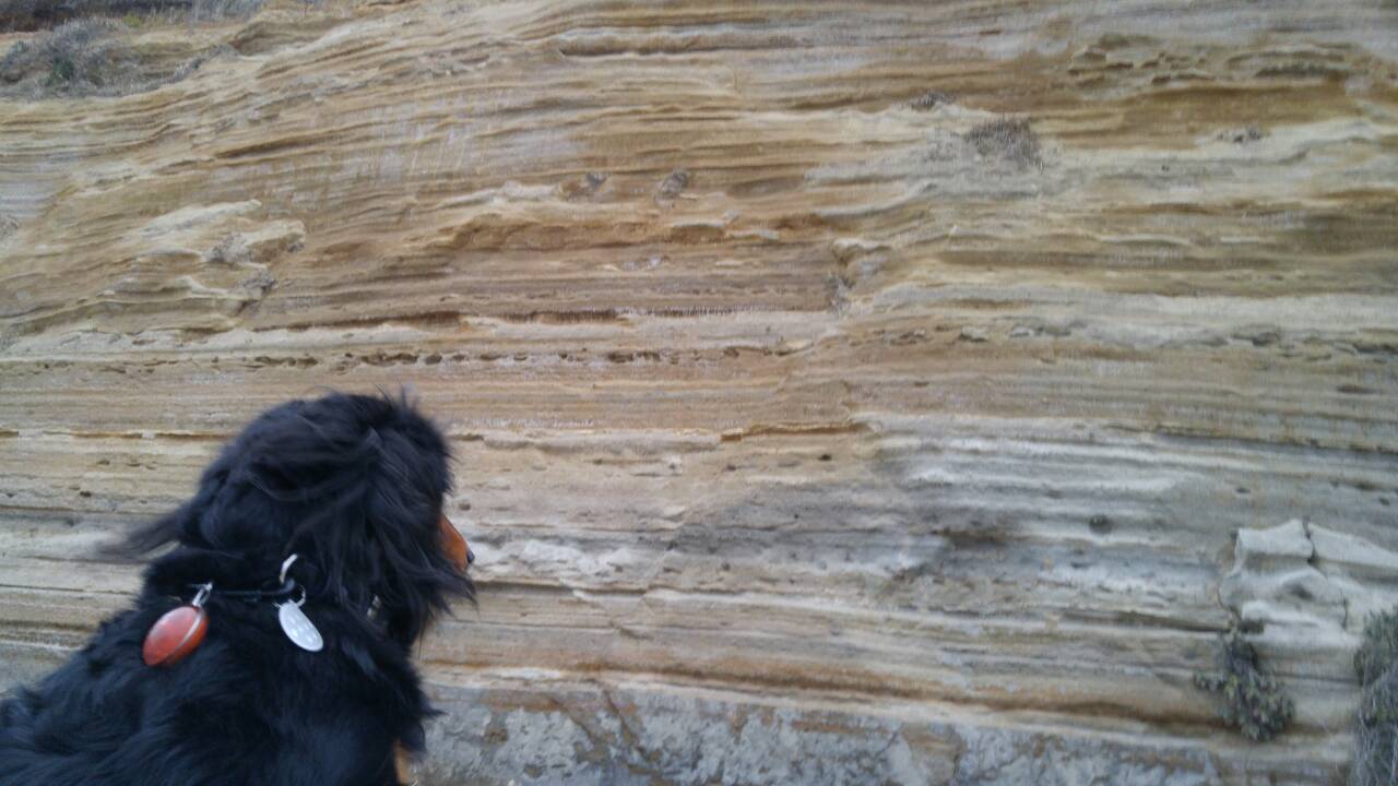 d0347205_01234252.jpg