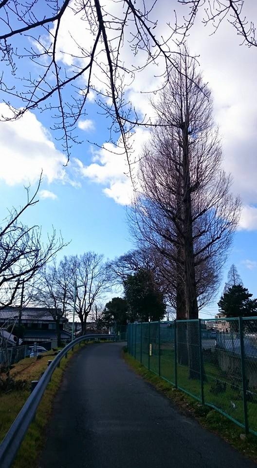 久しぶりのウォーキング♪_f0042307_13231351.jpg