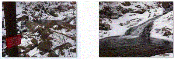 f0231709_22134921.gif