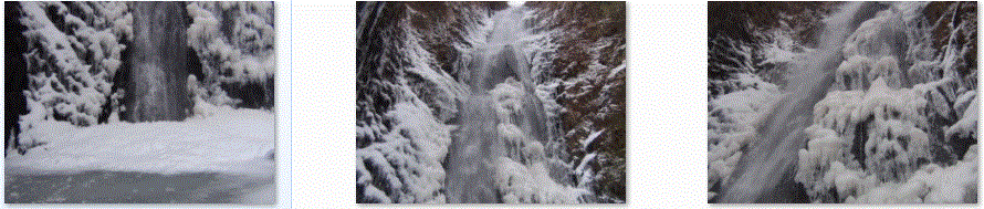 f0231709_22323579.gif